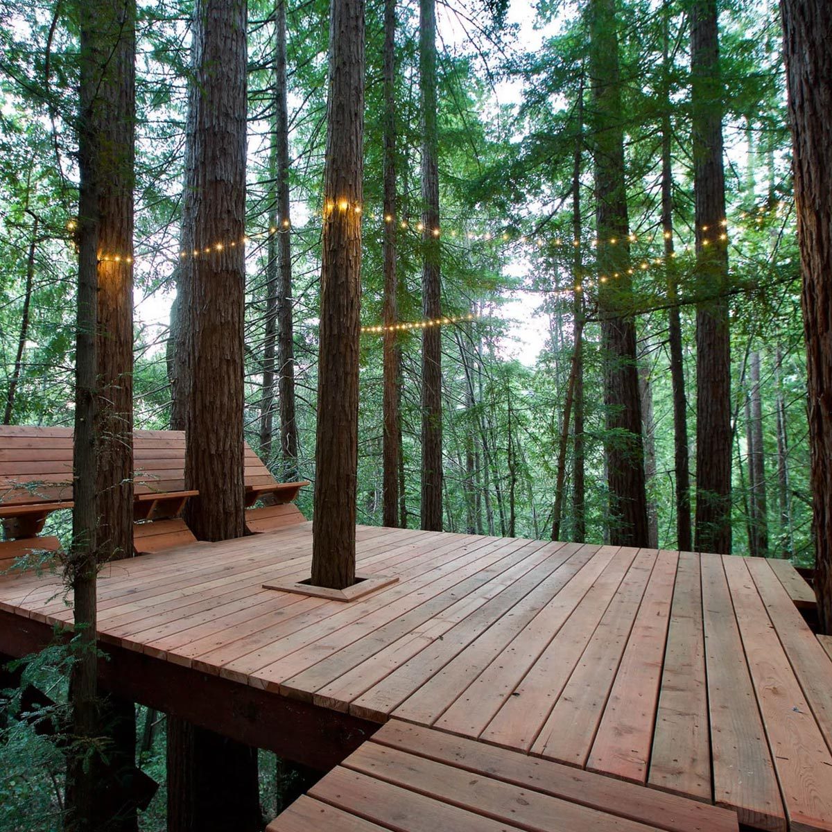 Tree Deck