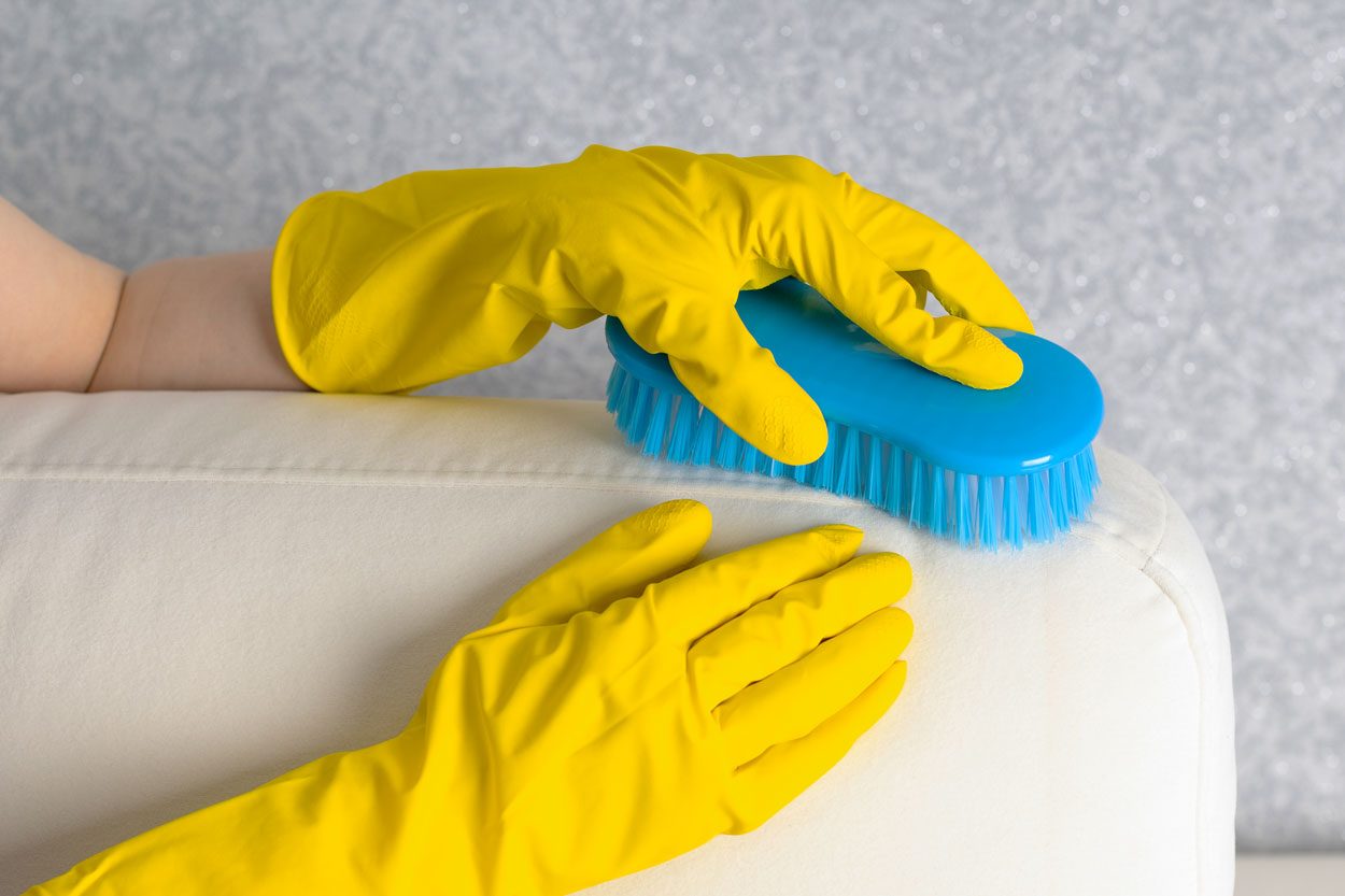 Woman Is Cleaning Stain On Sofa With Brush