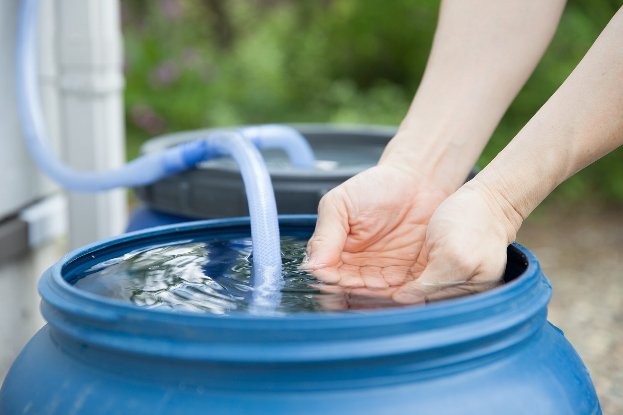 unknown female with hands in clean rain barrel collection tank