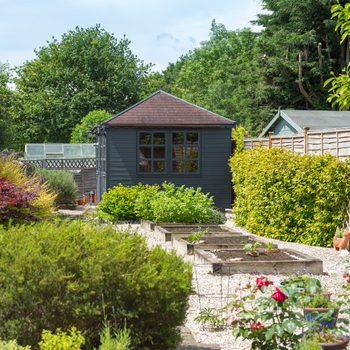 Back Garden Exterior Views With a She Shed