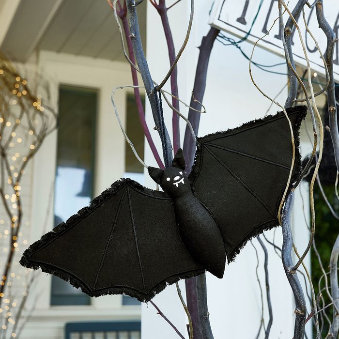 Hanging Bats