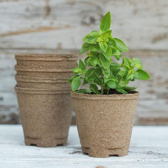 Herb Garden Starter Kit
