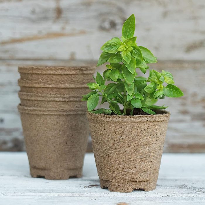 Herb Garden Starter Kit