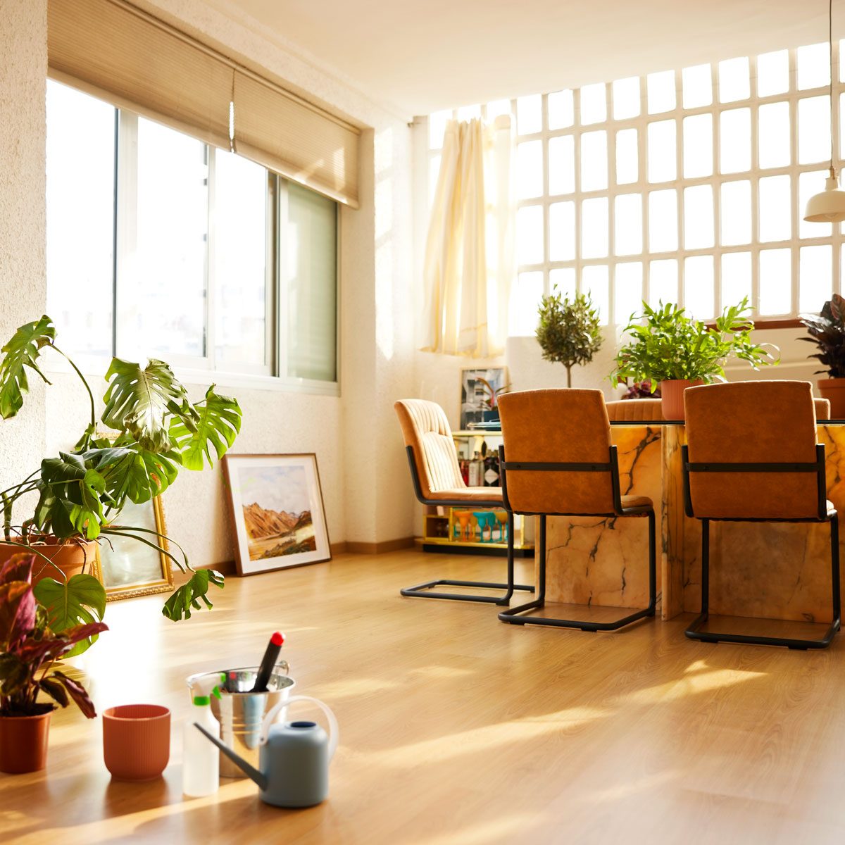Potted Plants In Domestic Room in a modern, well-lit loft with natural light and warm tone furniture