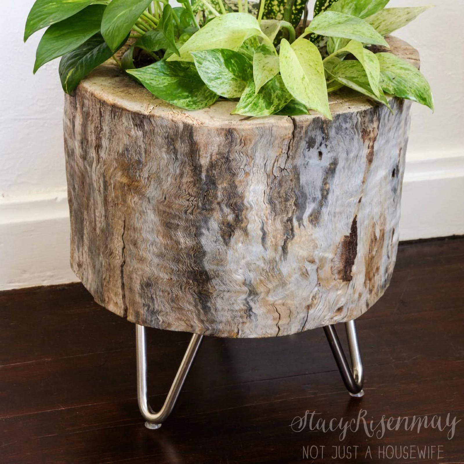 Stump Planter