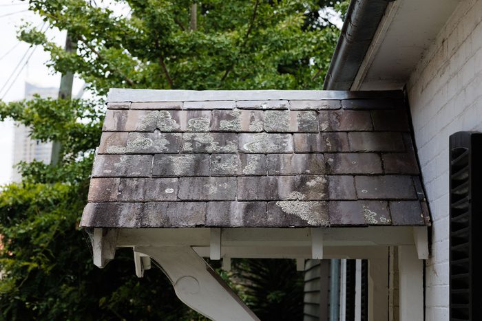 Lichen growing on an old slate tiled roof