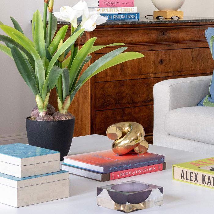 Books And Objects Courtesy Ashleygoforth Instagram