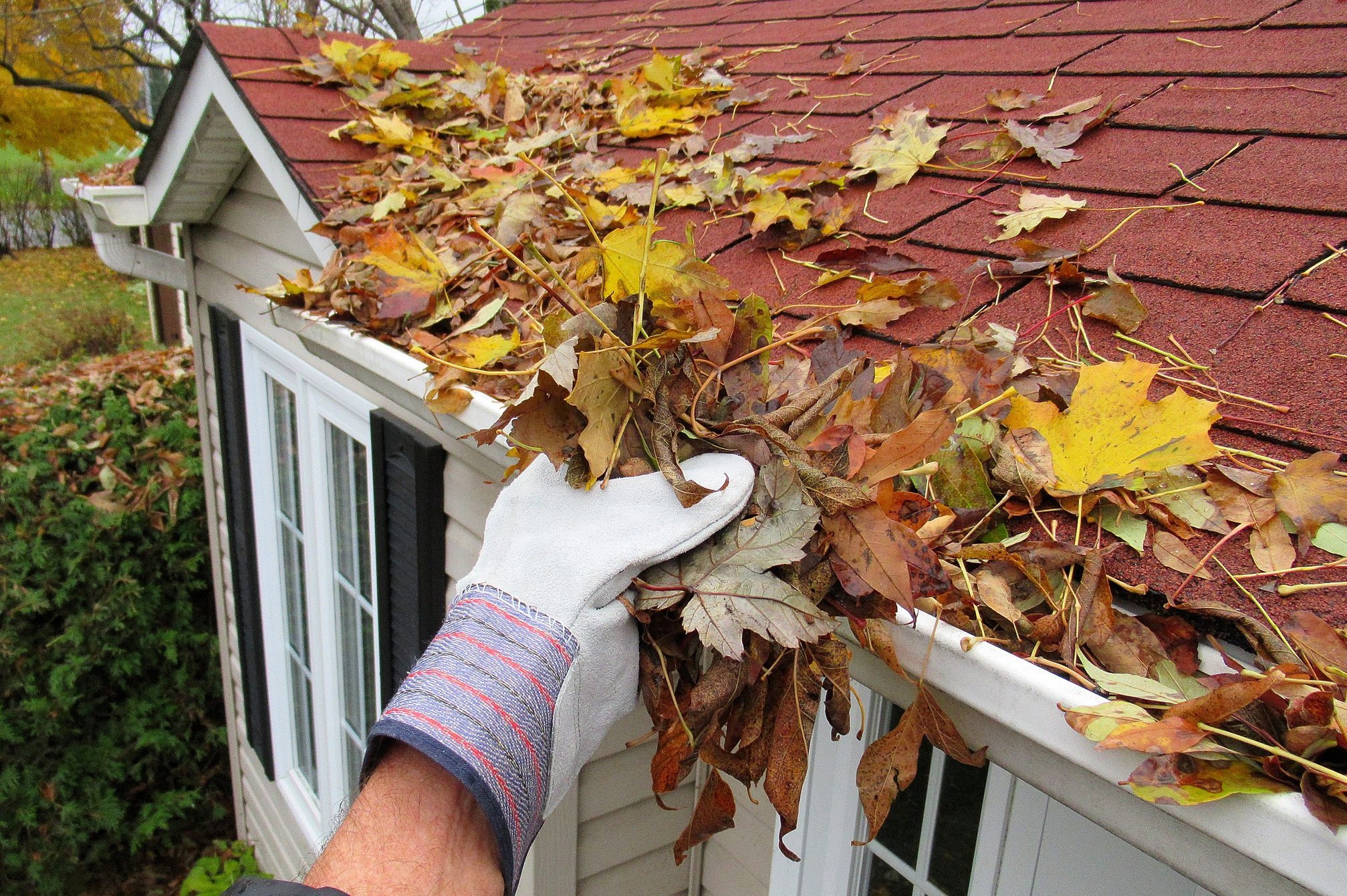 removing leaves from gutters