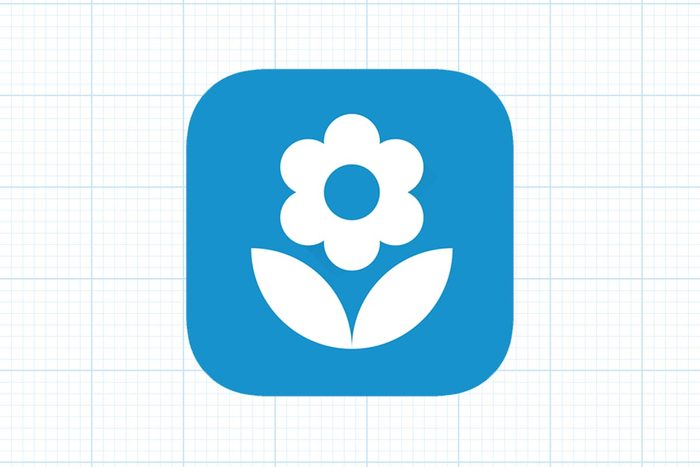 The Best Plant Identification Apps Flowerchecker