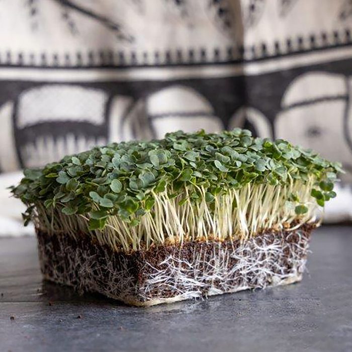Microgreens