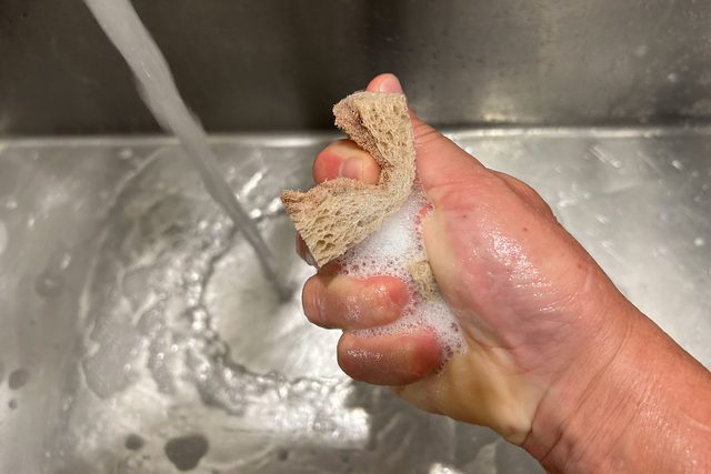 Soaking the Sponge with Water