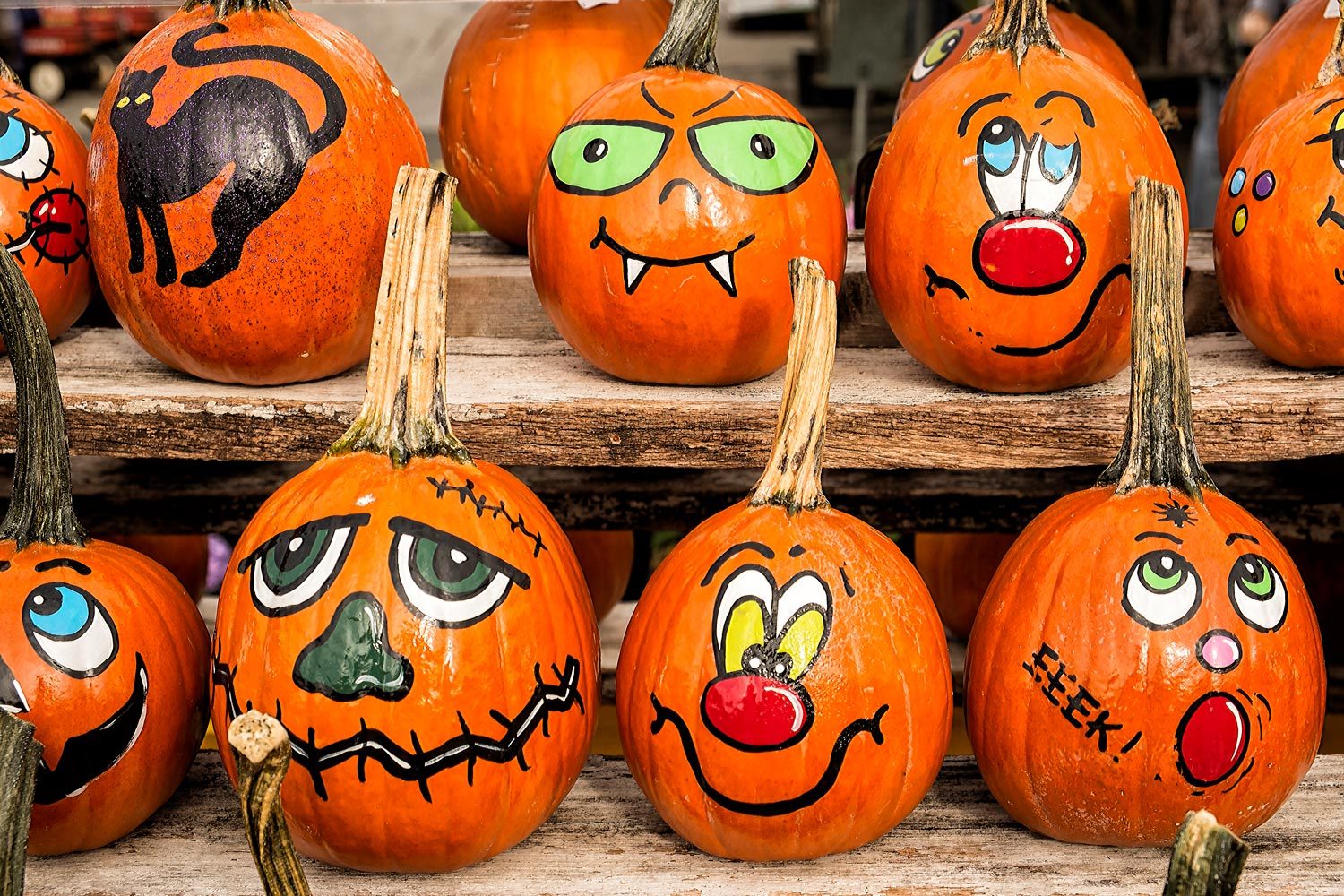 What’s the Best Paint to Use for Pumpkins This Halloween?