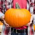 How To Choose the Freshest Pumpkin for Your Home