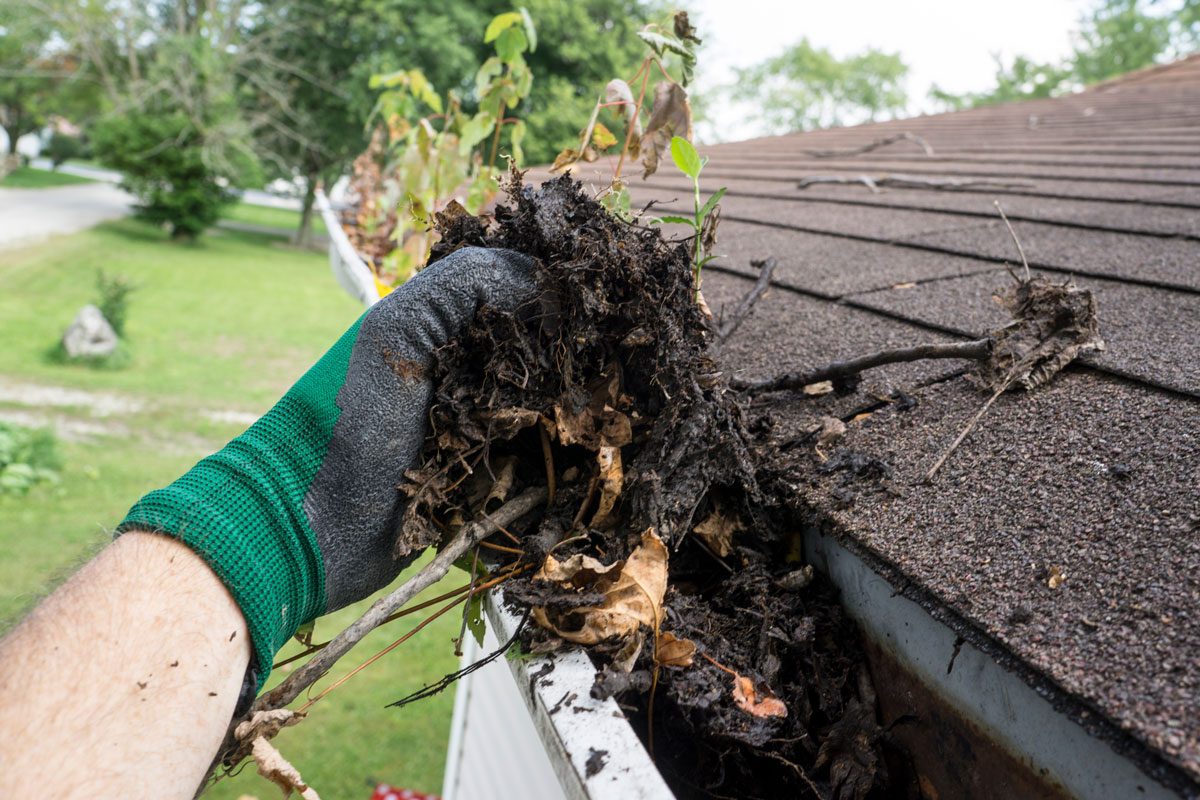 Worker Cleaning Gutters With Gloved Hands At a Customers Home Against a Luscious Green Yard and Forestry on a Bright Day