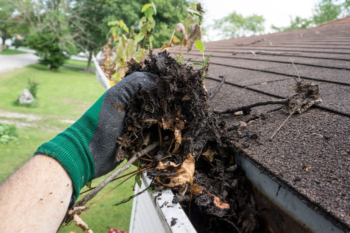 Worker Cleaning Gutters With Gloved Hands At a Customers Home Against a Luscious Green Yard and Forestry on a Bright Day