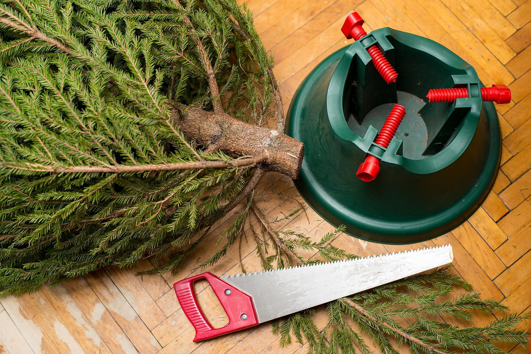 Chopped Base of The Tree kept aside of a Tree Holder 