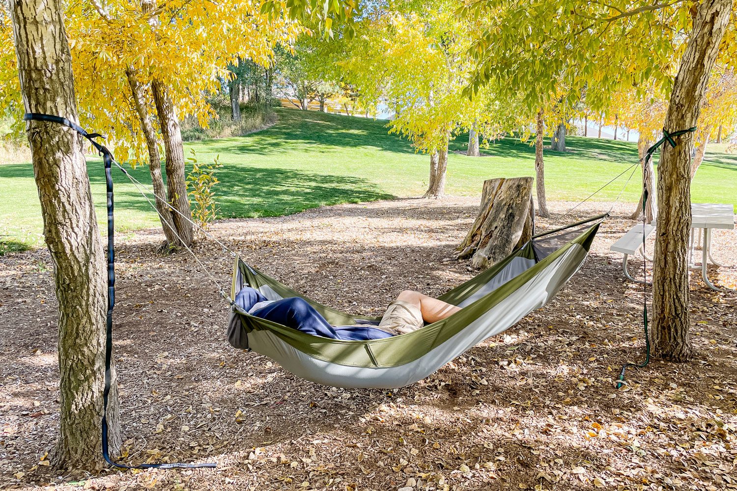 A Man Lying Down on a Hammock in a Park