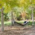 How To Hang a Hammock for Maximum Relaxation