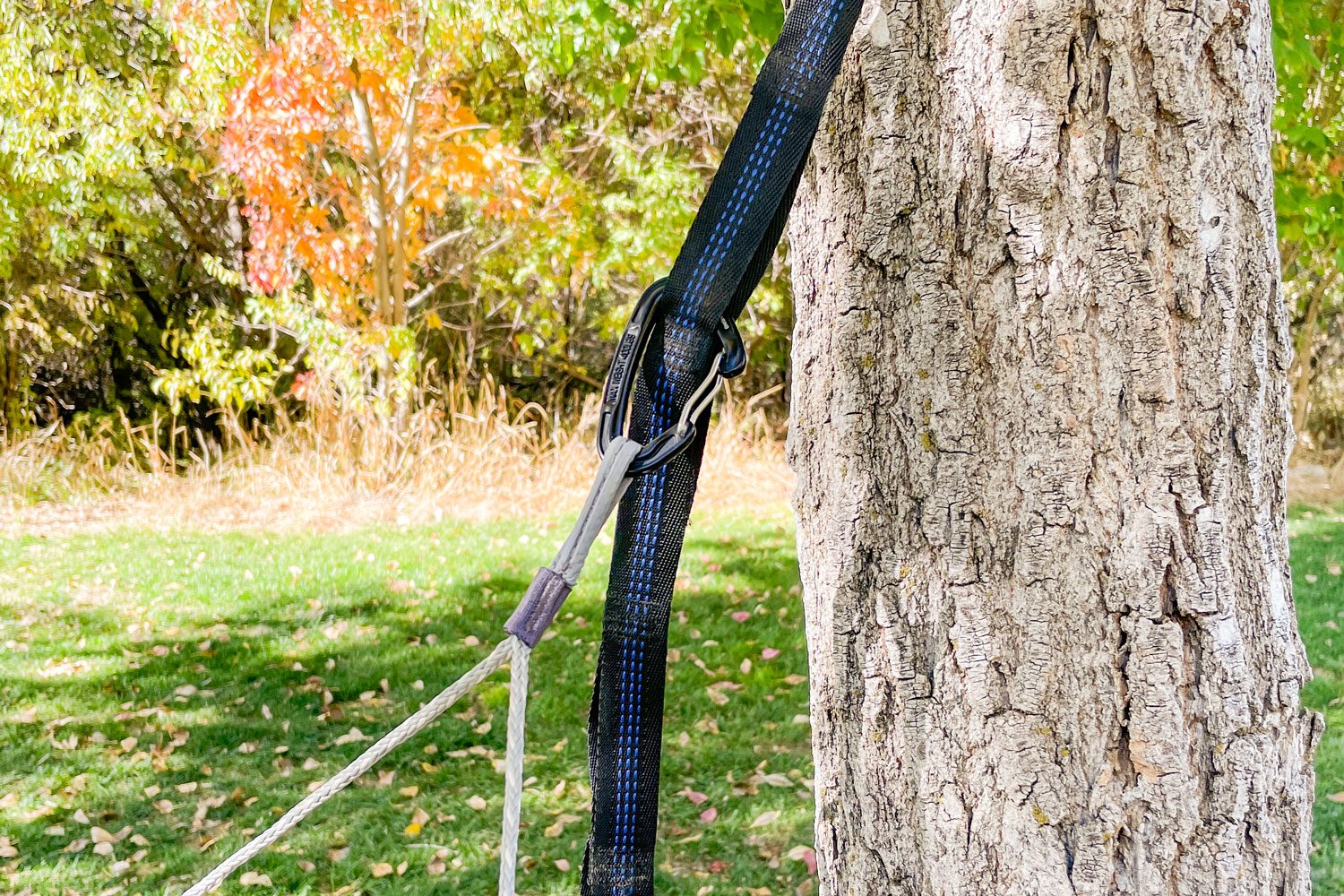Hammock Hook Attached to a Strap