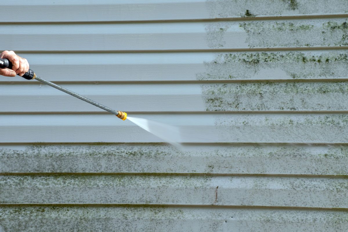 Cleaning the mold from the vinyl siding on this exterior wall is a job for the handyman or the professional.