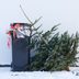 When To Take Down a Christmas Tree