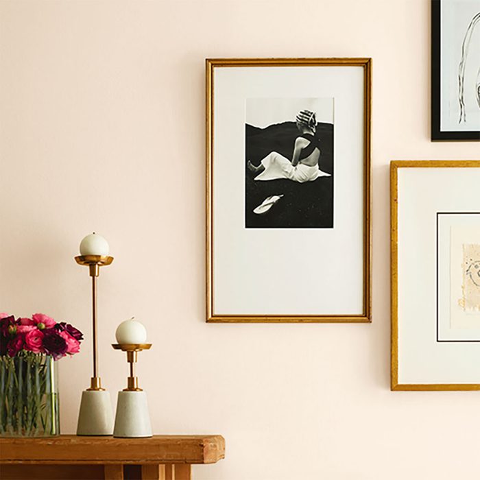 Choice Cream Paint Colour