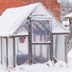 What To Know About Prepping Your Greenhouse for the Winter