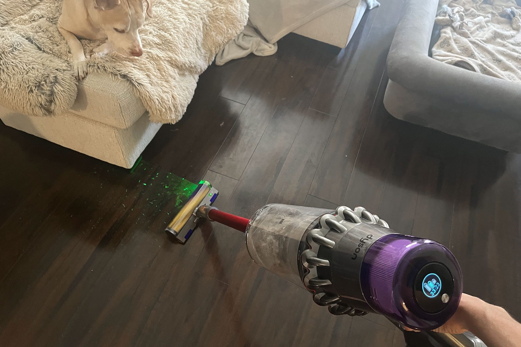 Dyson Outsize cleaning wooden floor