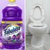 Fabuloso in the Toilet Tank: Does It Work?