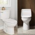 One-Piece vs. Two-Piece Toilets: What's the Difference?