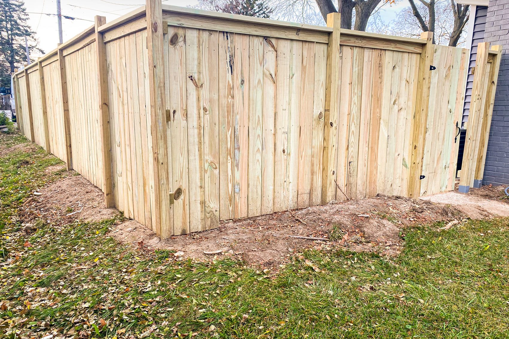 A Wooden Fence and Grass