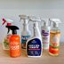 The 5 Best Pet Stain Removers of 2025, Tested and Reviewed