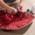 How To Make a Birdbath