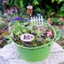 8 Breathtaking DIY Fairy Gardens