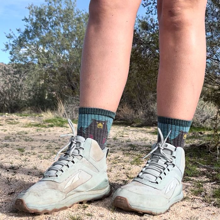 Darn Tough Micro Crew Hiking Socks