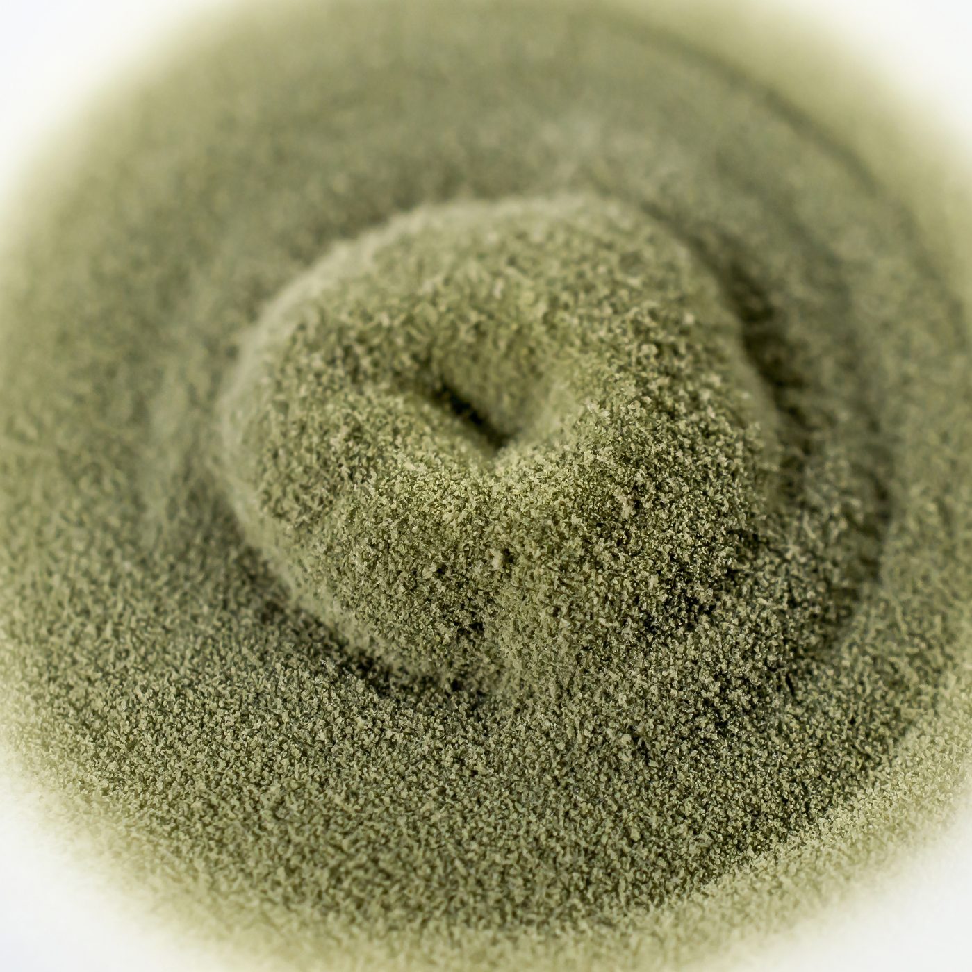 Colony of mold fungus cultivated from indoor air