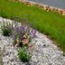 Pea Gravel Flower Bed Tips You Need to Know