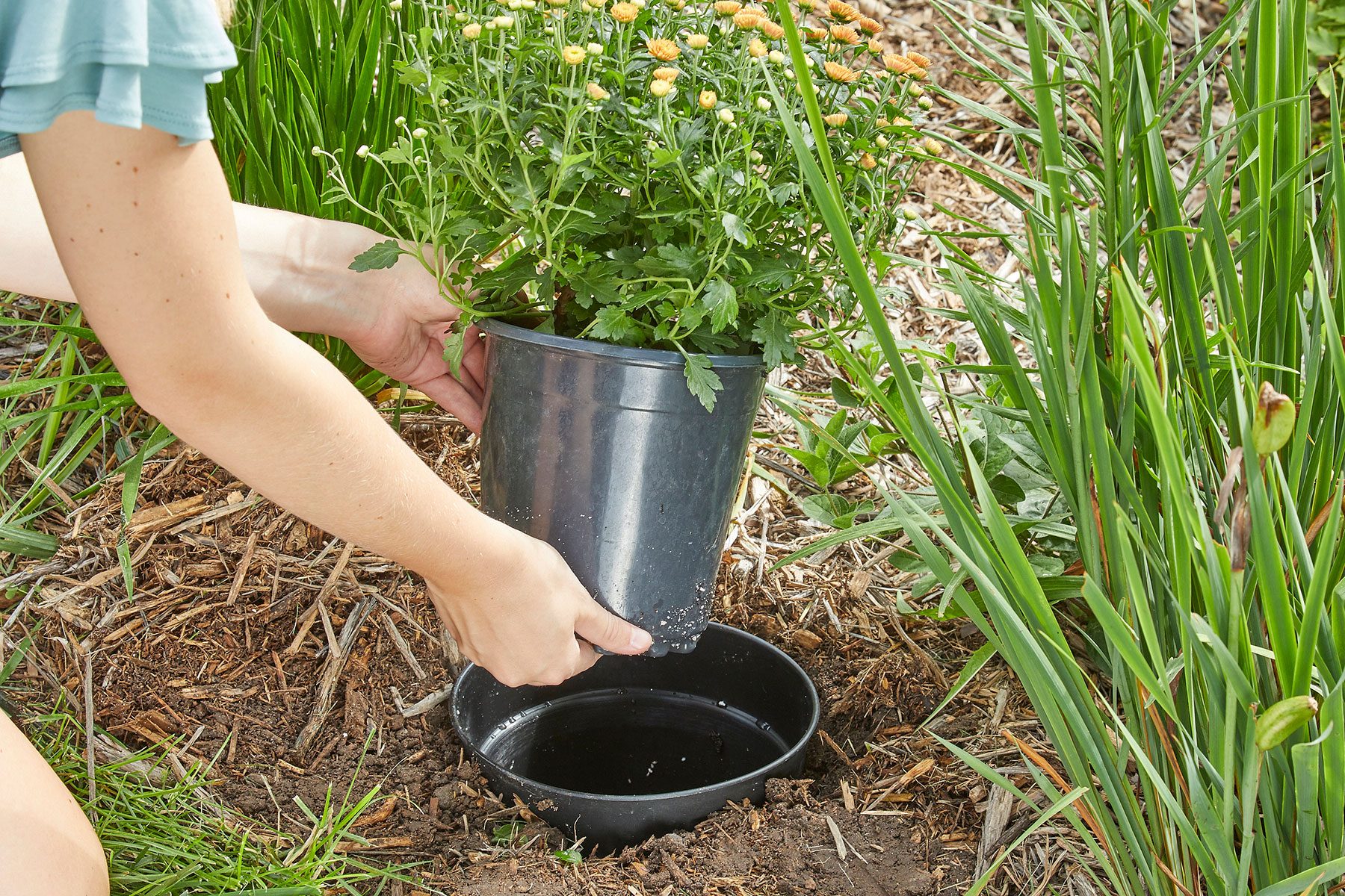 Putting the planter in ground