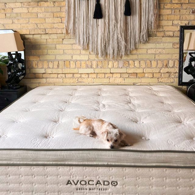 Avocado Green Mattress Ft Megan Wood