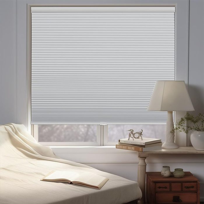 Changshade Cellular Honeycomb Shades Ecomm Via Amazon.com