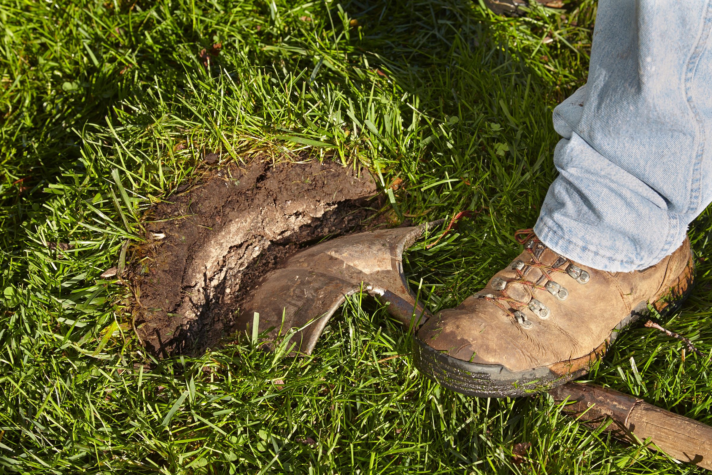 using a shovel to check soil moisture