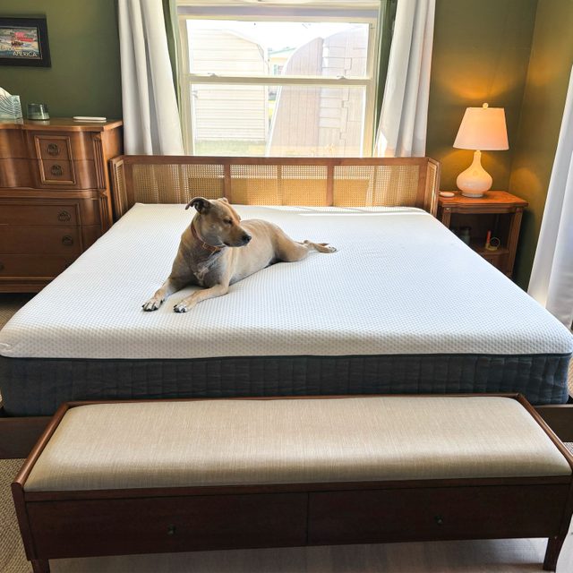 The Emma Hybrid Mattress