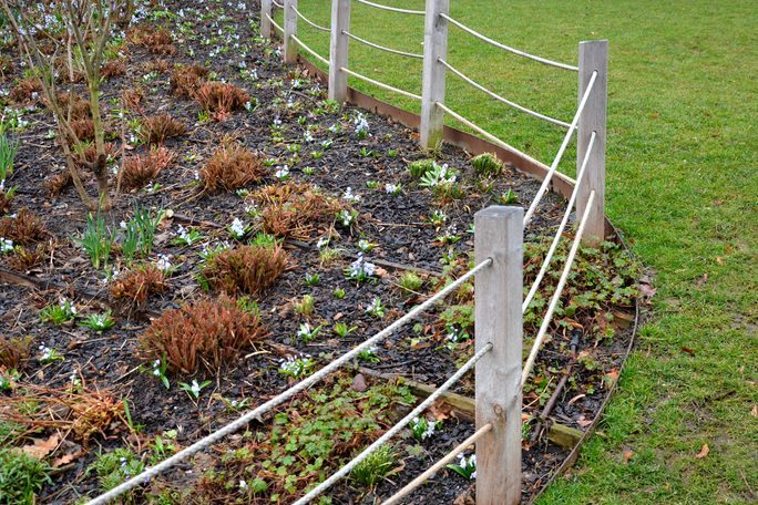 in march in the park bloom in flowerbeds behind a low protective fence of ropes and wooden posts of cinnamon in the mulch bark of white flowers in dense covers. benches and granite pavement