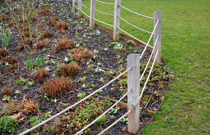 in march in the park bloom in flowerbeds behind a low protective fence of ropes and wooden posts of cinnamon in the mulch bark of white flowers in dense covers. benches and granite pavement