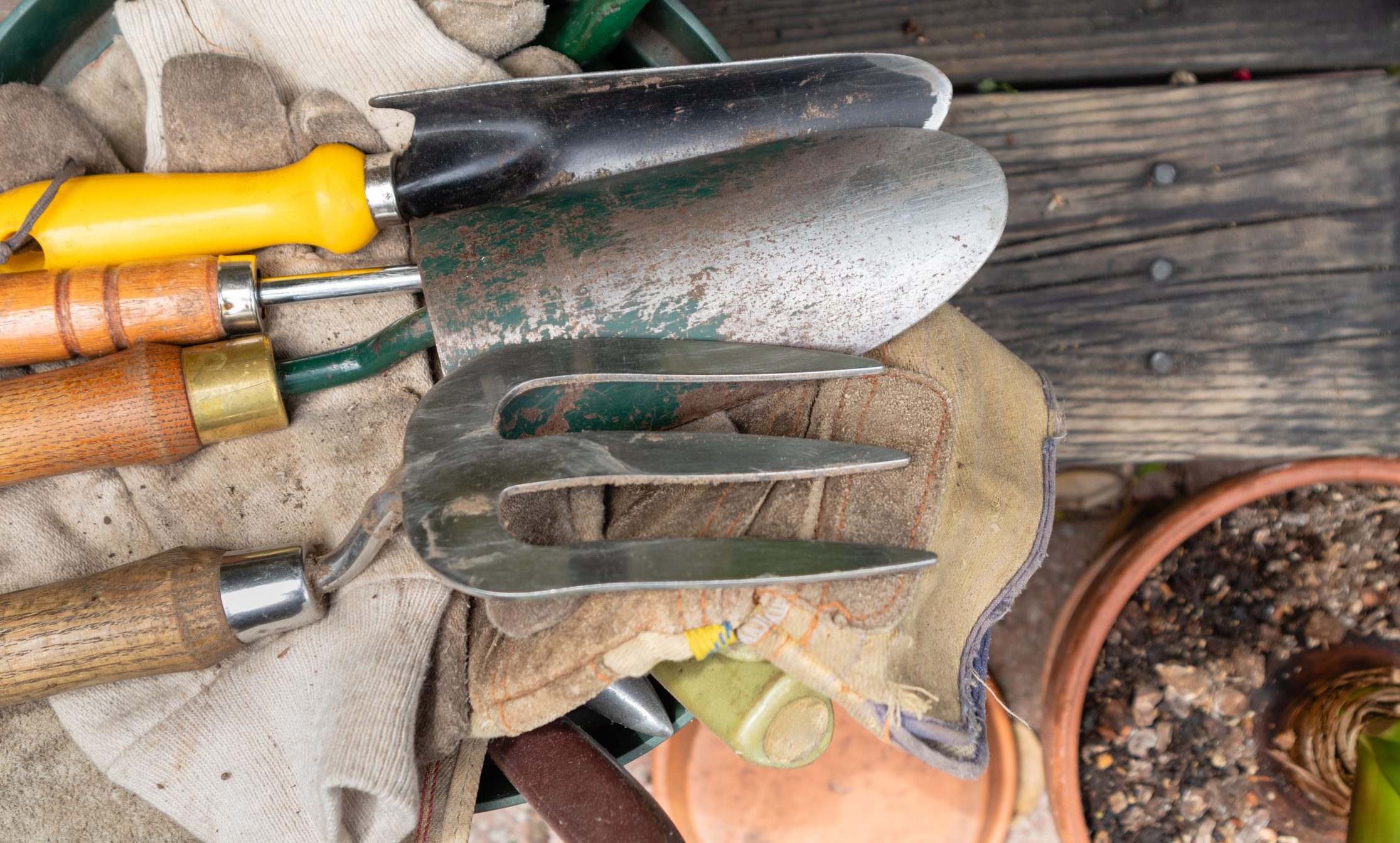 Gardening tools close-up view