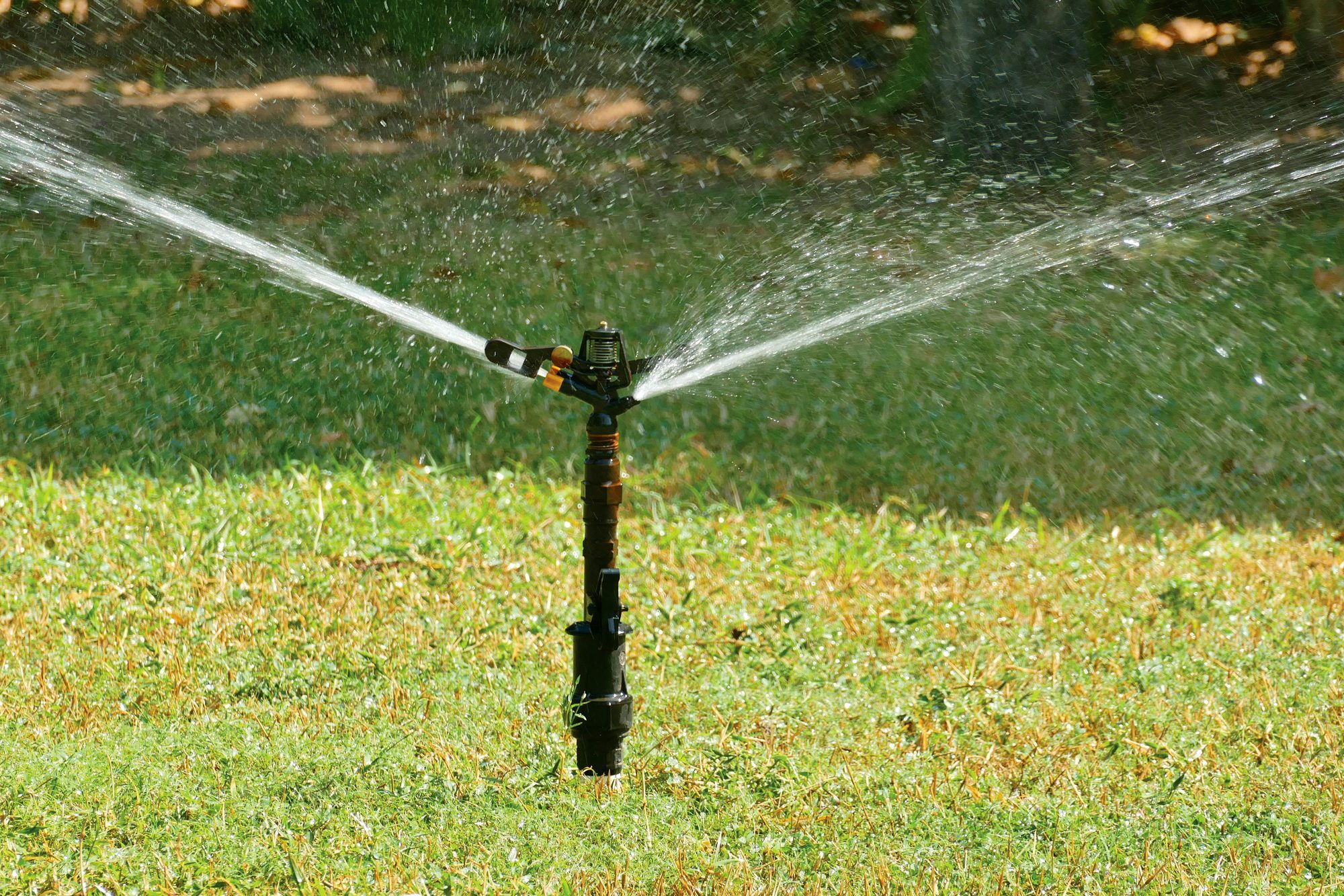 Sprinkler Irrigation