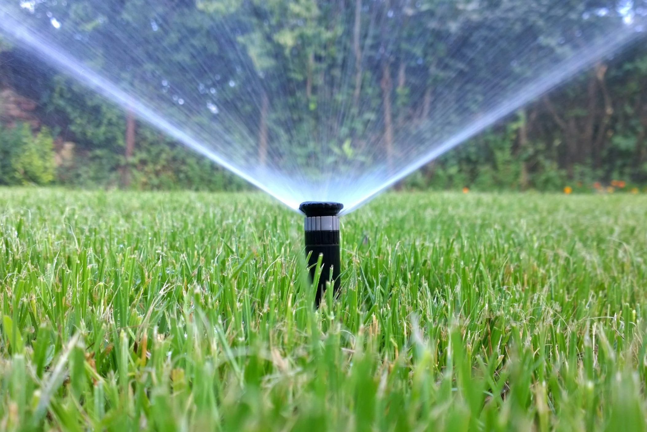 Sprinkler of automatic watering