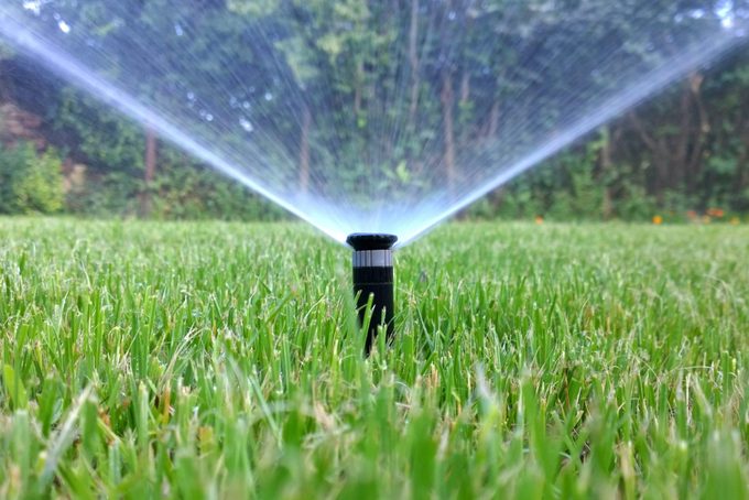 Sprinkler of automatic watering