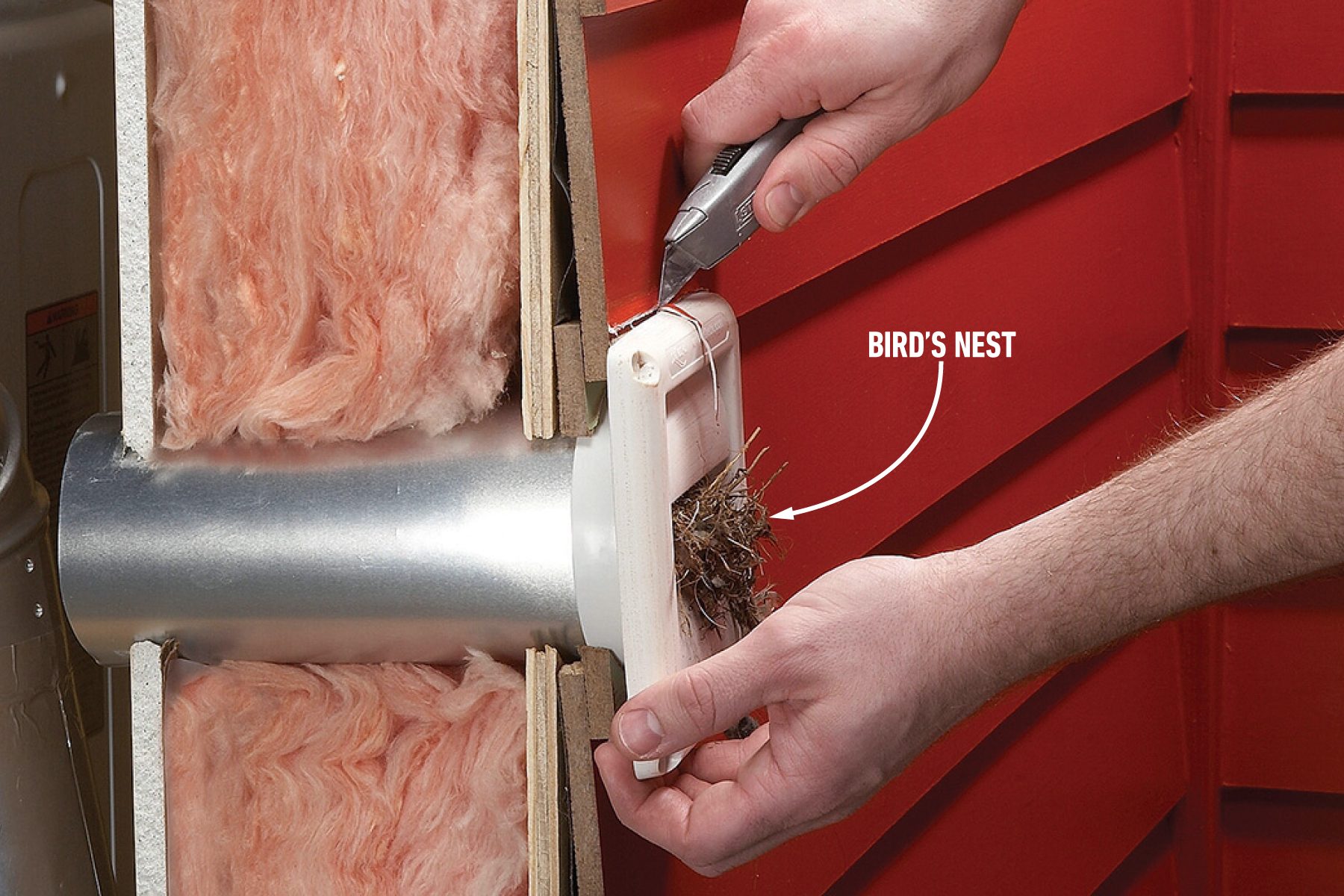 A person uses a utility knife to remove a bird's nest from the inside of a wall cavity. The wall cavity is filled with pink insulation material, and the nest is nestled in a small section to the right of a central pipe or duct. A label points to "Bird's Nest.