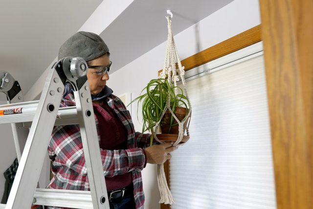 How To Hang A Plant From The Ceiling Install the hook